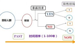 做日料的爆料怎么做视频,跟随爆料打造诱人视频教程